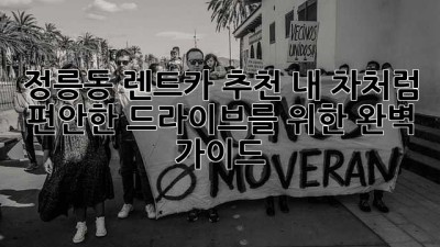 정릉동 렌트카 추천: 내 차처럼 편안한 드라이브를 위한 완벽 가이드
