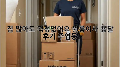 짐 많아도 걱정없어요! 원룸이사 용달 후기 (주엽동)